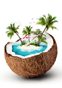 Anlegerschutz Kokosnuss